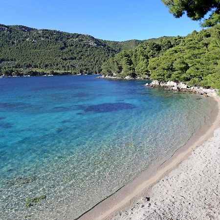 Apartments With A Parking Space Zuljana, Peljesac - 4573 Ngoại thất bức ảnh