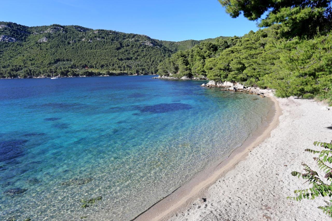 Apartments With A Parking Space Zuljana, Peljesac - 4573 Ngoại thất bức ảnh